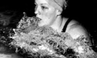 Beverley Whitfield